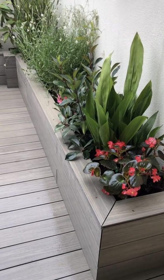 Crimson Blooms On Blonde Wood
