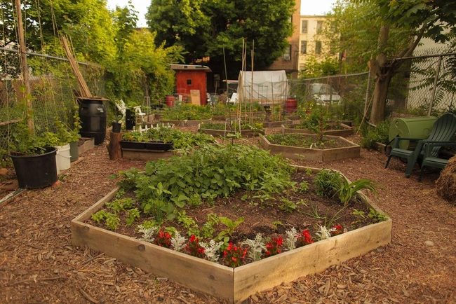 Geometric Wood Garden Beds