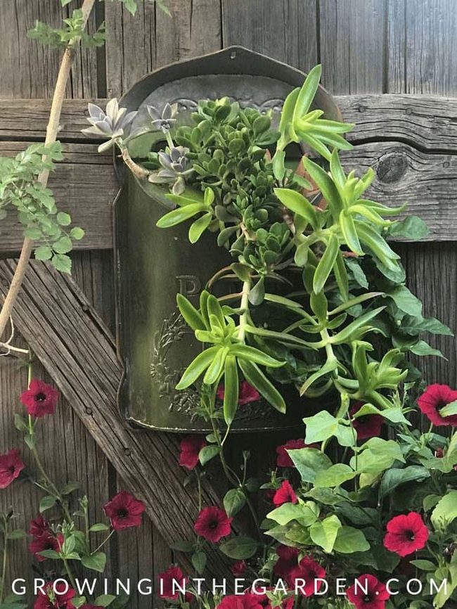 Vintage Mailbox Succulent Garden