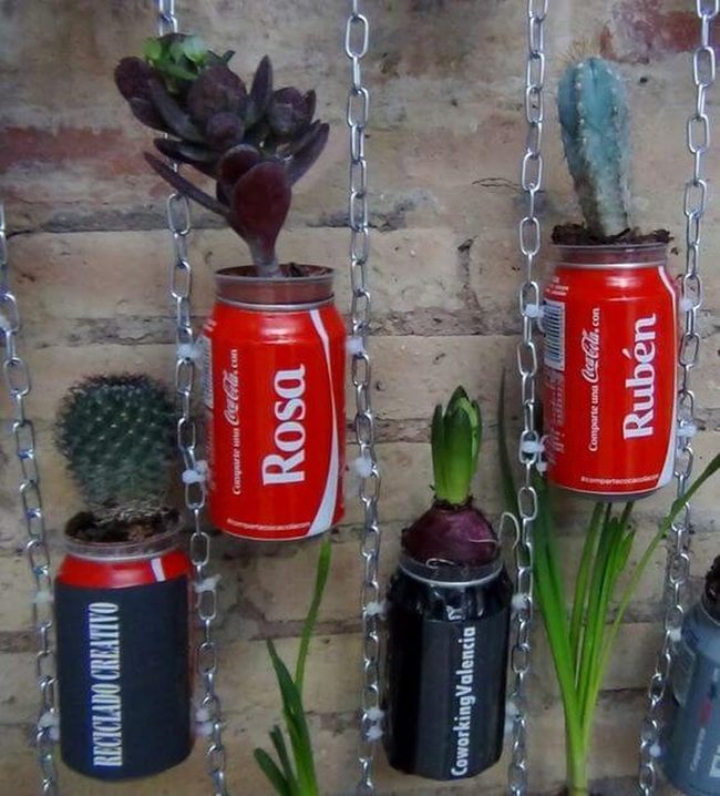 Recycled Cans, Living Greenery