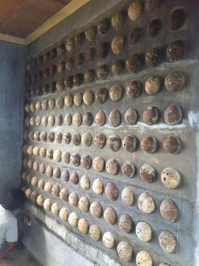 Curved Coconut Shell Wall Art