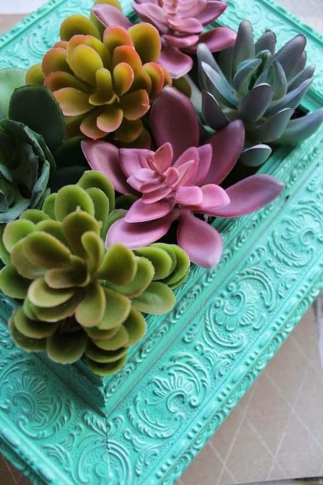 Framed Faux Succulents Wall Art