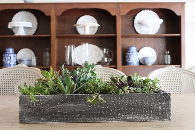 Green Succulent Table Cluster