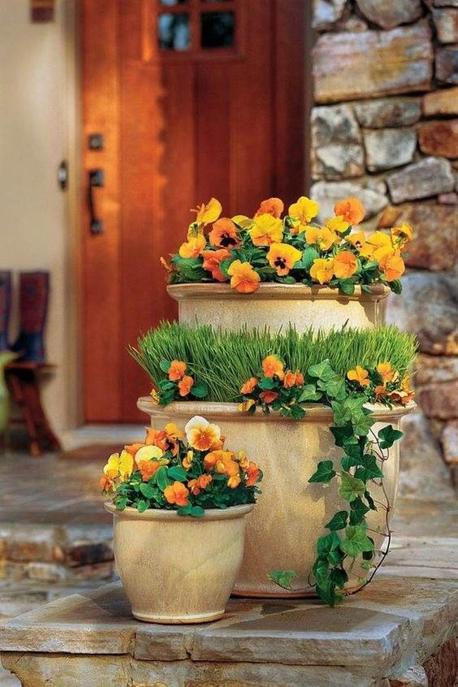 Yellow Blooms Against Stone