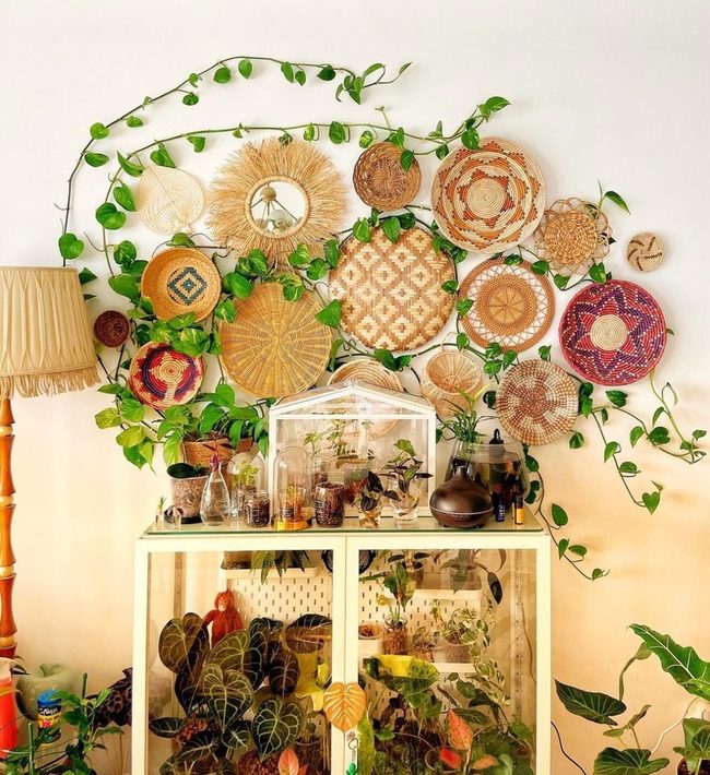 Living Vines On Glass Cabinet