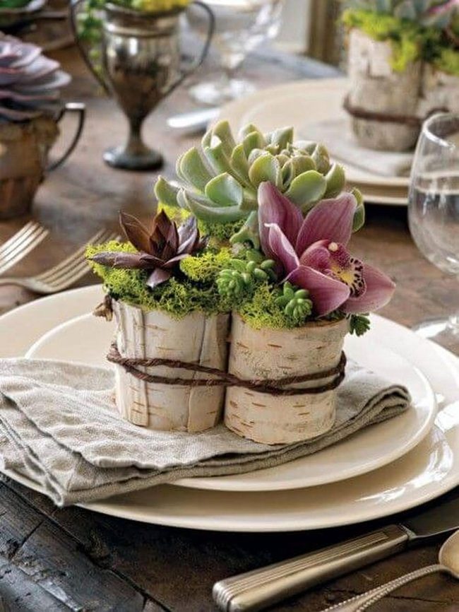 Green And Purple Birch Planter