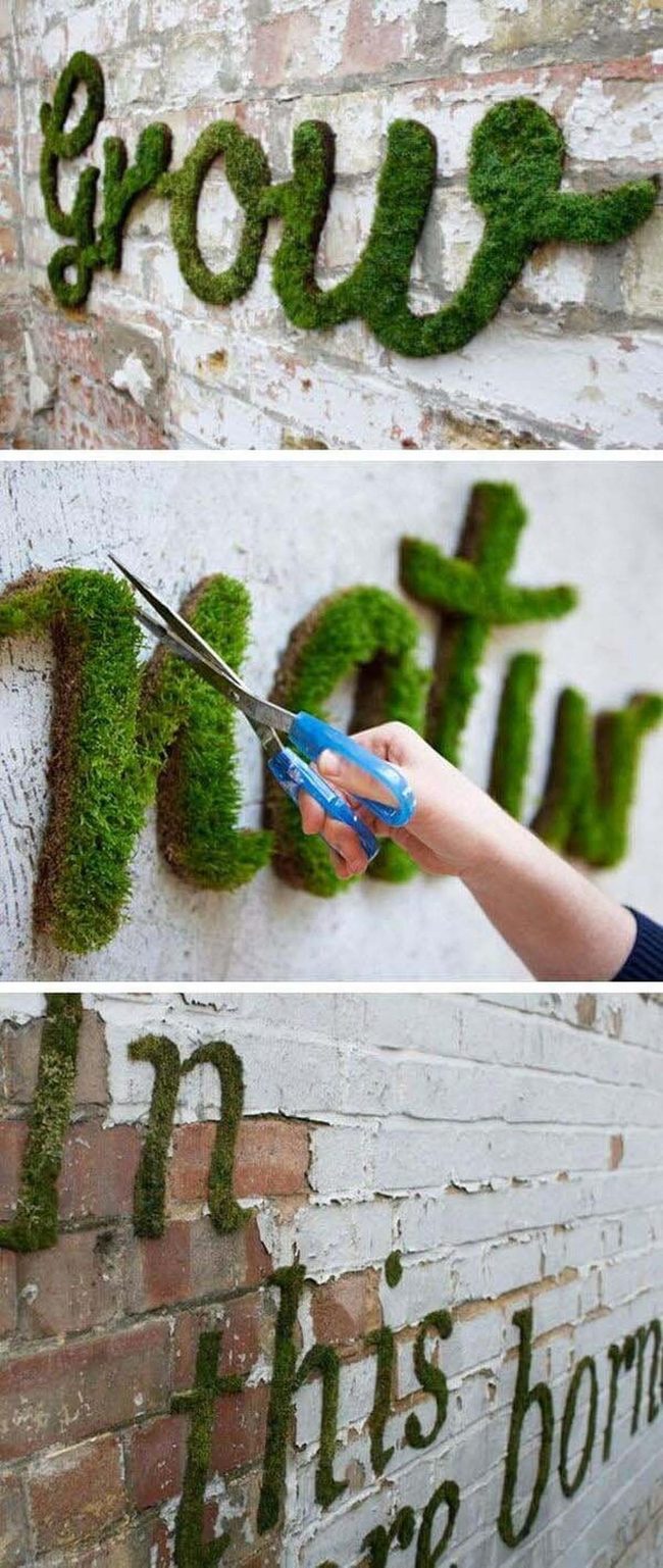 Living Moss Wall Canvas