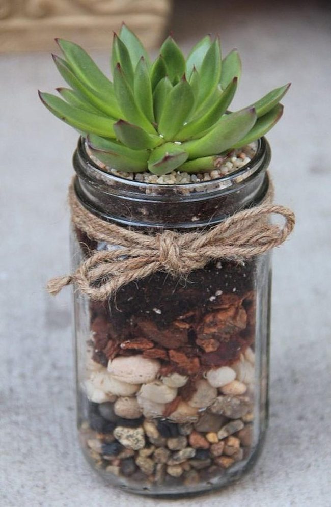 Succulents In Recycled Glass