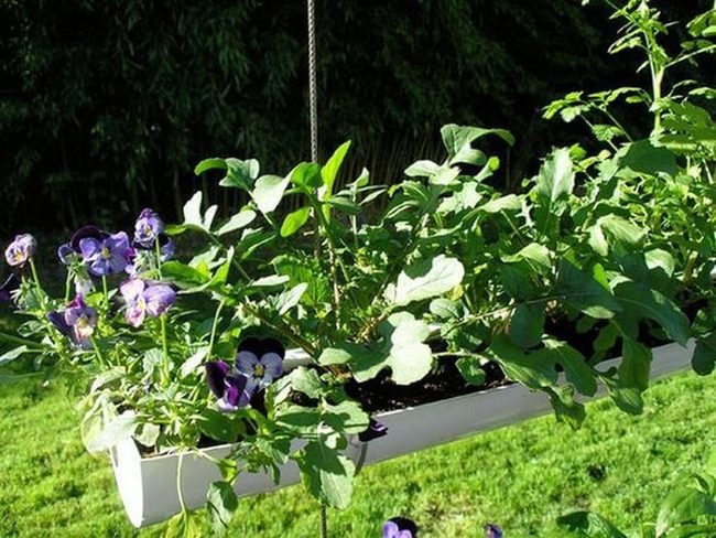 Cascading Herb Wall Garden