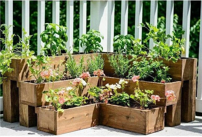 Green Wall Herb Garden
