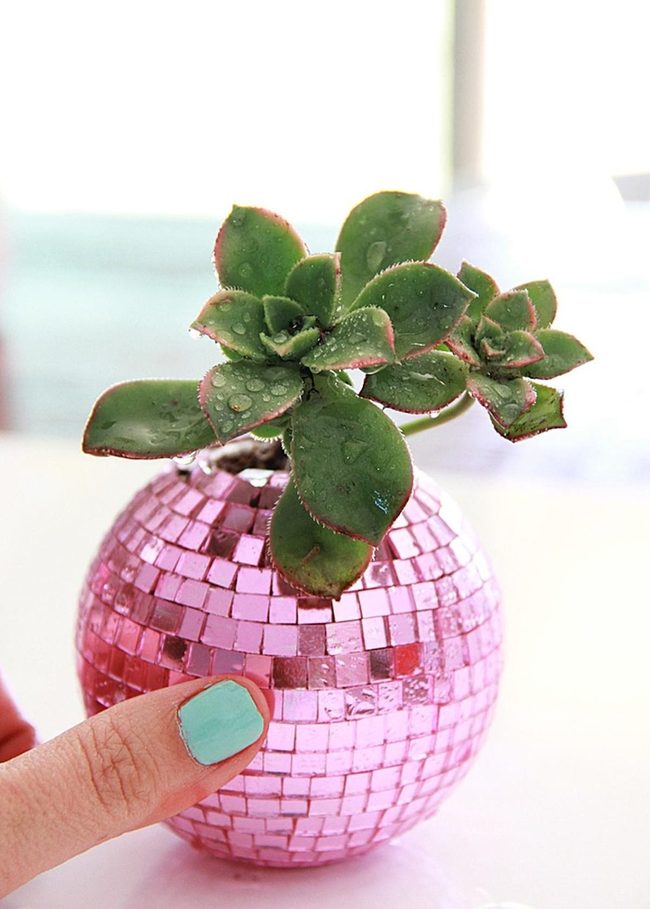 Shiny Pink Tiles, Living Green