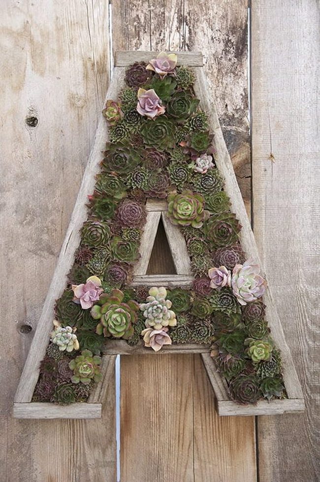Wooden Letters, Living Blooms