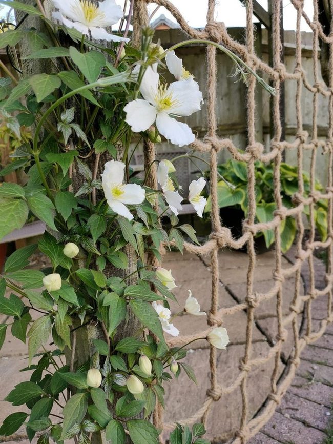 Wooden Posts With Climbing Ropes