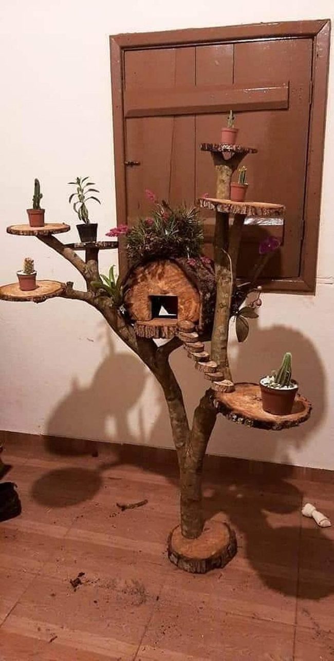Tree-Shaped Plant Tower Wood
