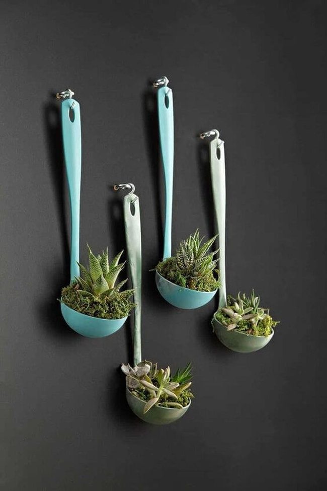 Aqua Spoon Planters With Moss
