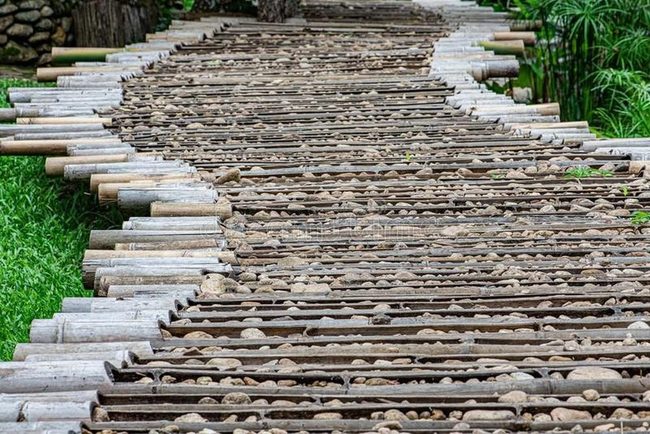 Stone And Bamboo Garden Path