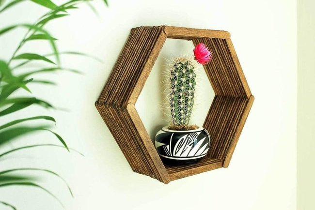 Pink Cactus Bloom Black Pot