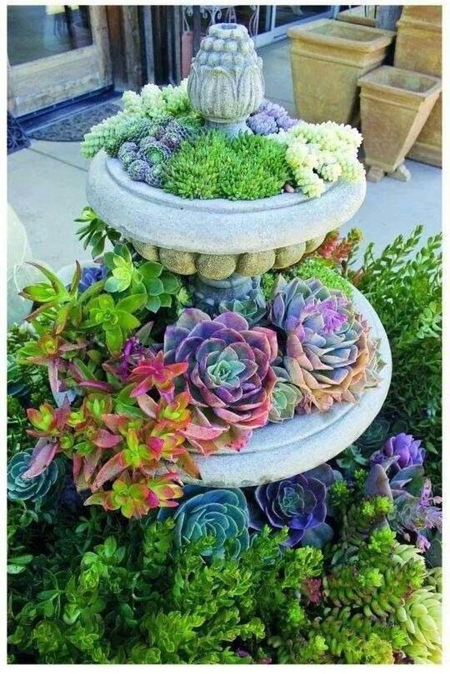 Purple Succulent Stone Fountain