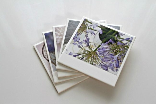 Purple Blooms Among Green