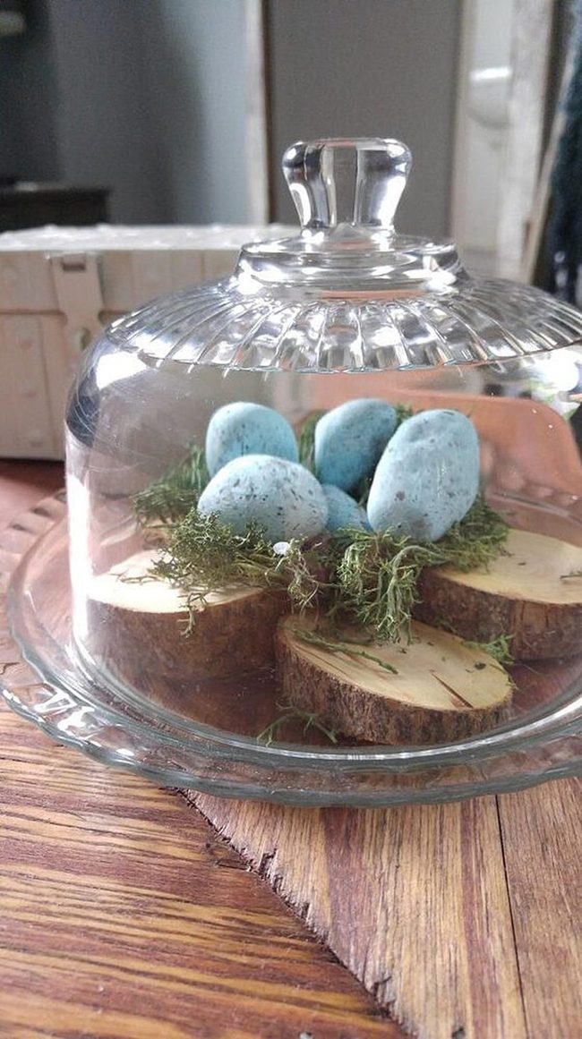 Natural Wood Slice Bases