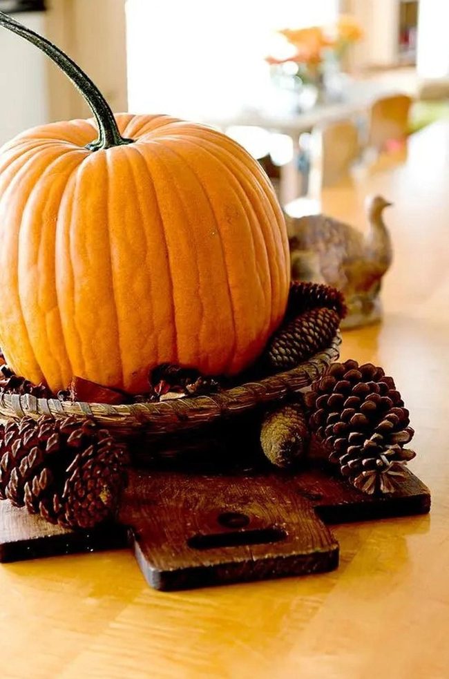 Orange Pumpkins, Pinecone Gatherings