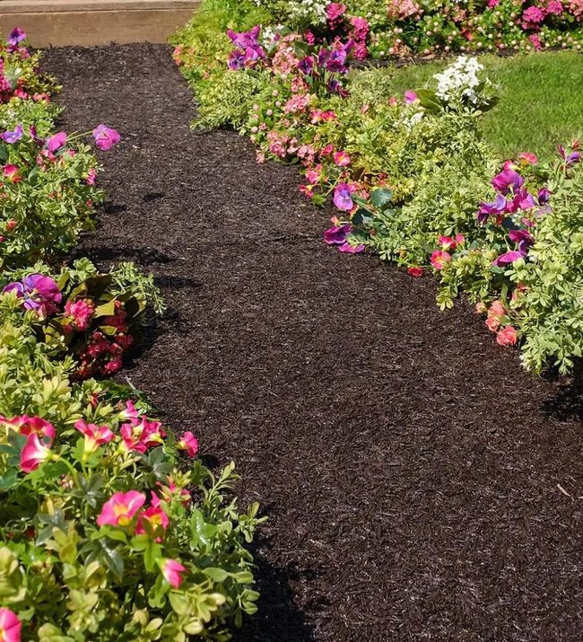 Curved Mulch Path Pink Blooms