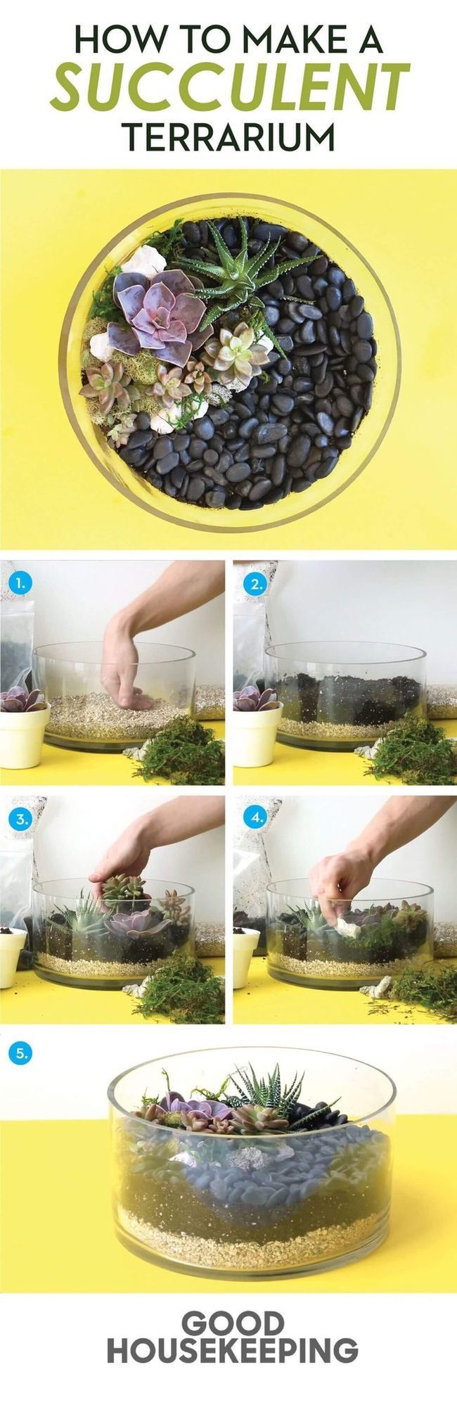 Stone Foundation Plant Terrarium