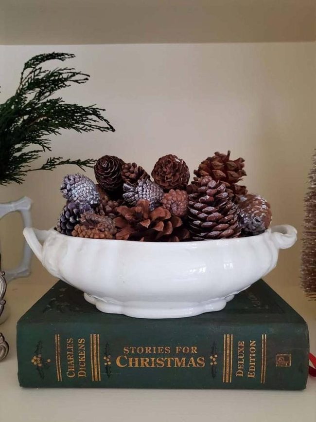 Silver And Brown Pinecones