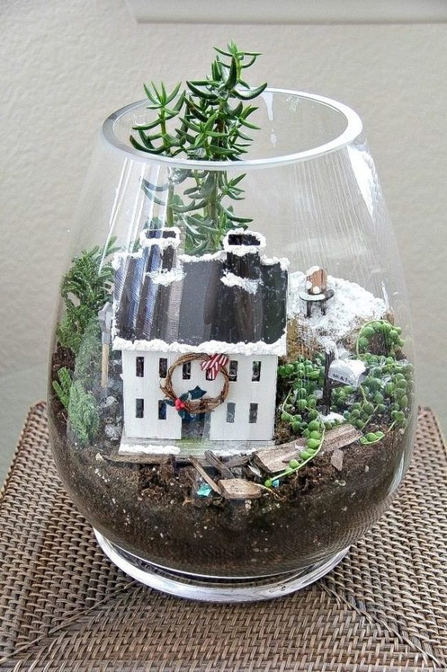 Miniature Pine Terrariums Glass