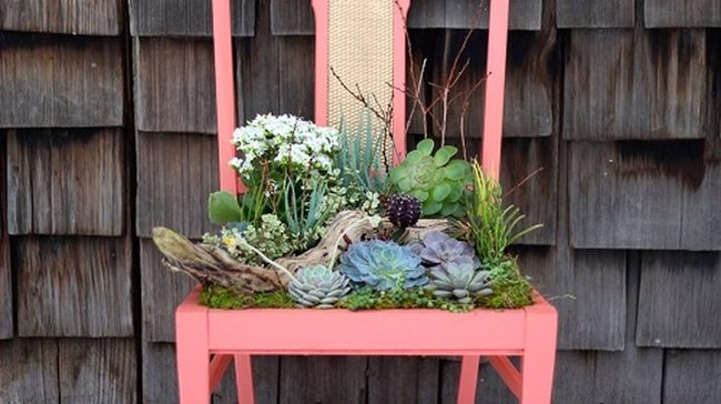 Weathered Wood Succulent Chairs