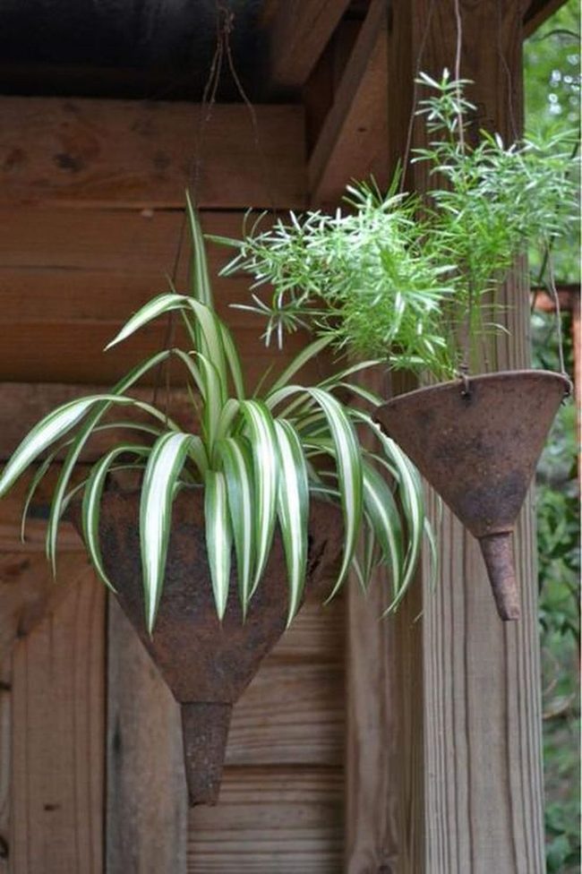 Metallic Funnels Urban Garden