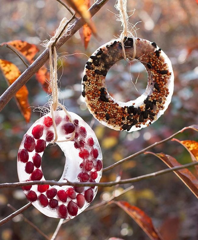 Icy Red Berry Bird Feeders