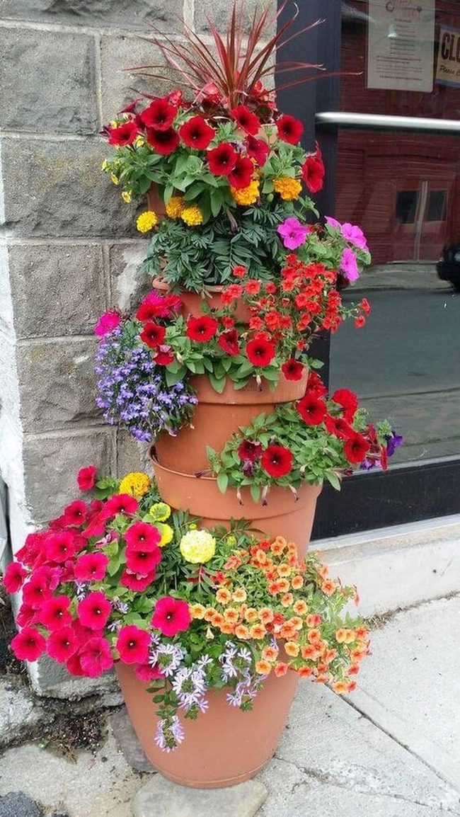 Terracotta Towers Bursting Blooms