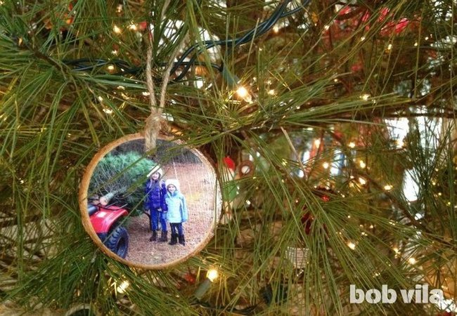 Memories On Pine Branches