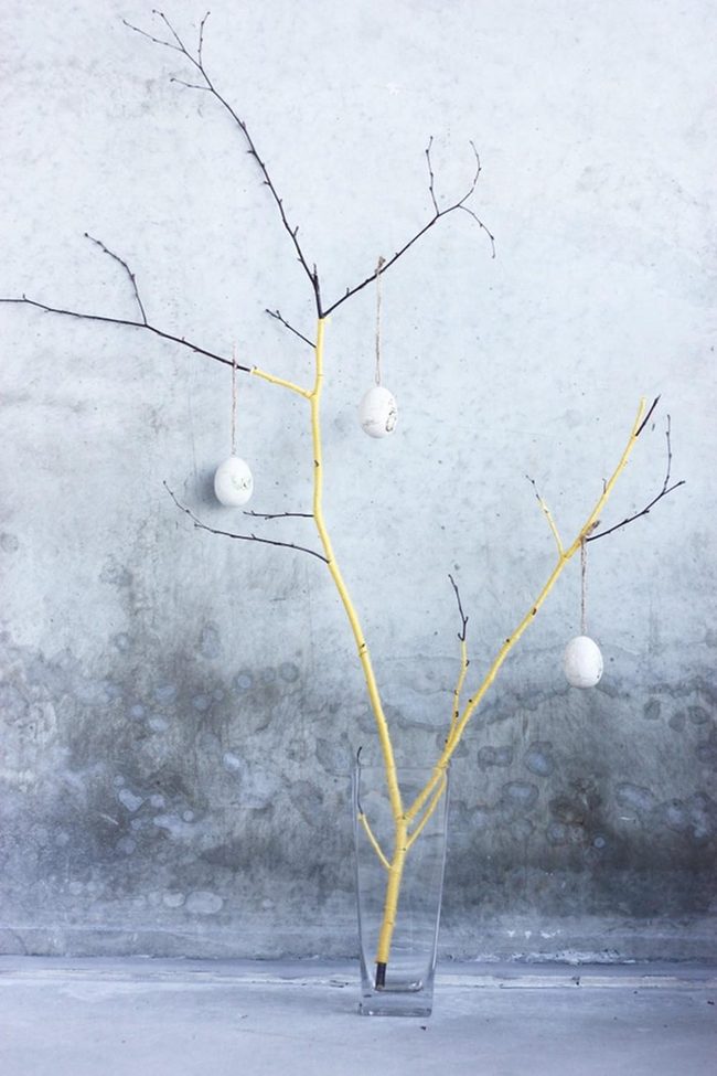 Yellow Branches With Suspended Eggs