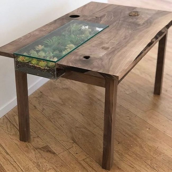 Green Plants On Natural Wood