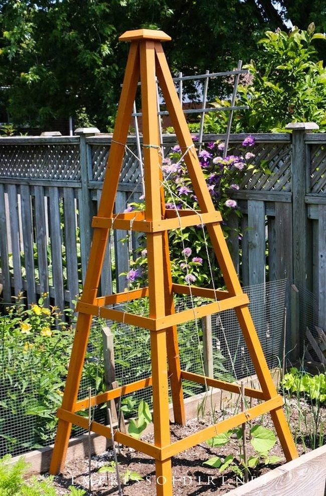 Orange Pine Garden Obelisk
