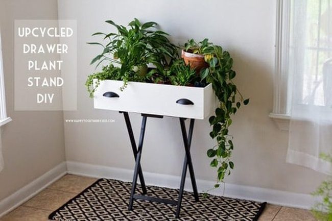 Wooden Drawer Plant Displays