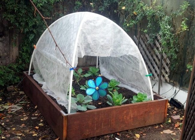 White Mesh Garden Beds With Blue Accents