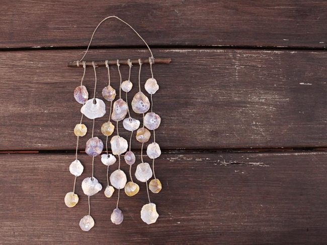 Iridescent Shells On Driftwood