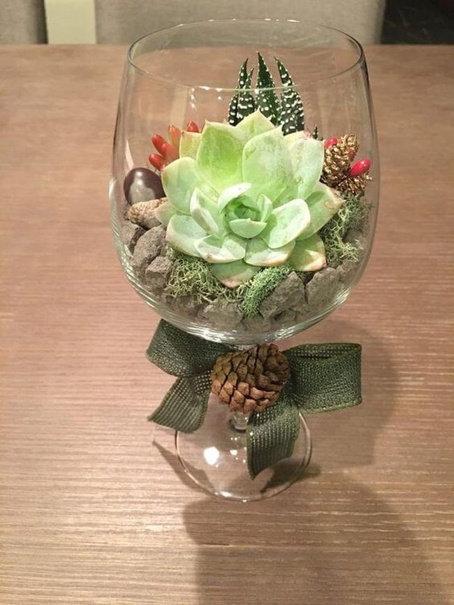 Glass Terrarium Garden Display