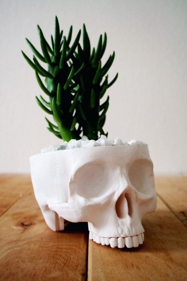 Skull Ceramic Succulent Planters