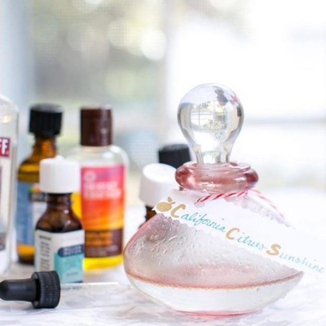 Citrus Pink Liquid Wellness