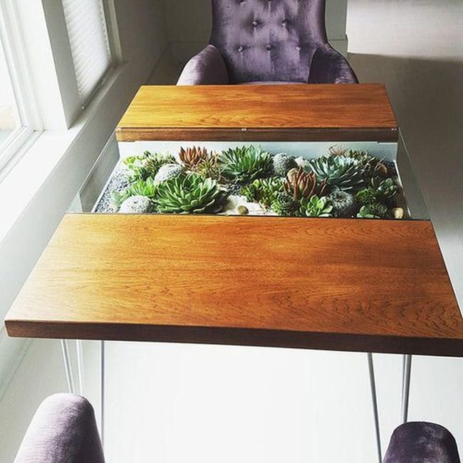 Glass Table Succulent Terrarium