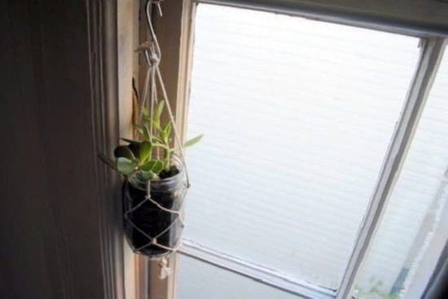 Macramé Glass Succulent Hangers