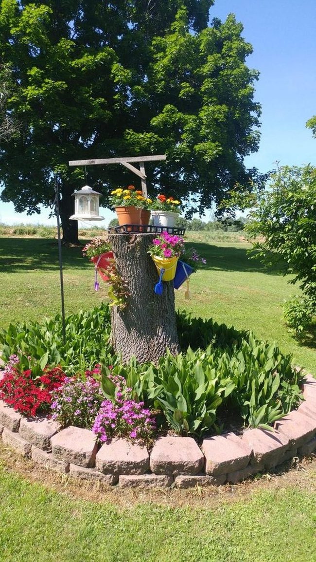 Tree Stump Garden Station