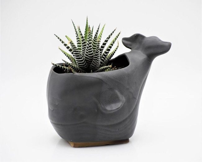Whale-Shaped Ceramic Planter