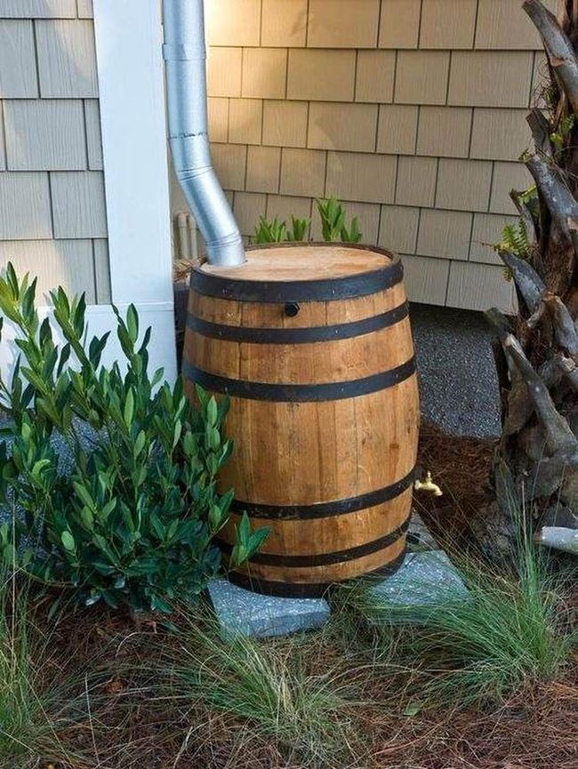 Weathered Whiskey Barrel Rain Collector