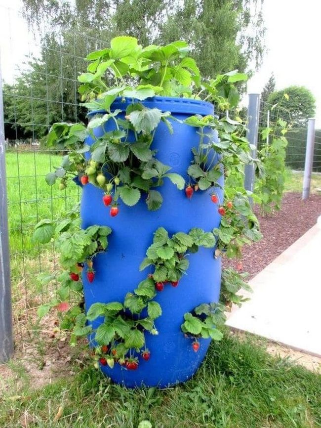 Stacked Barrels Vertical Garden