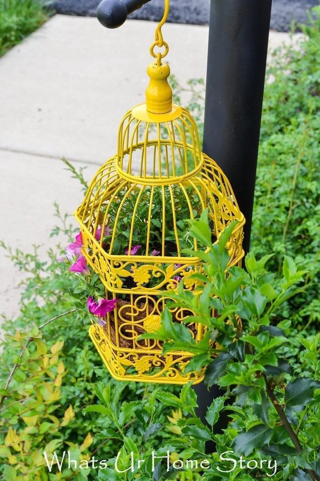 Birdcage Blooms Rainbow Garden